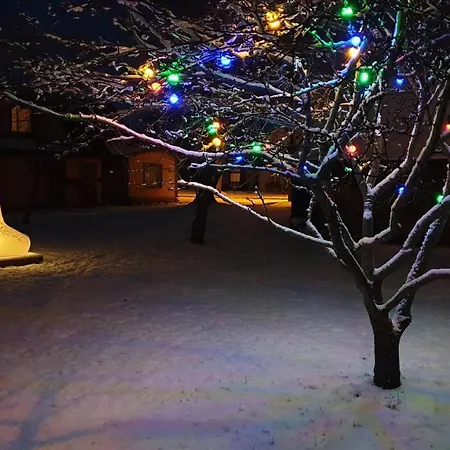 Ferienhaus Mirror House Roosi 21