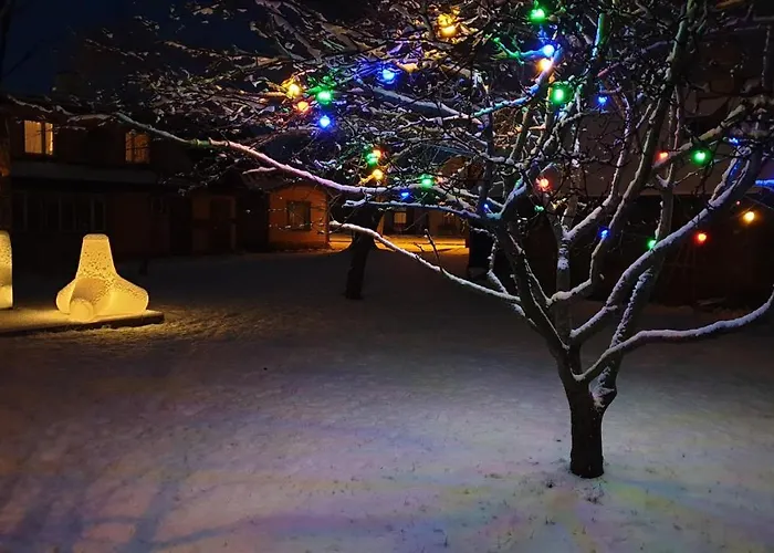 Vakantiehuis Mirror House Roosi 21